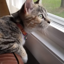 tiedtogetherwithasmile16 avatar