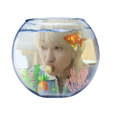 tielsuperority avatar