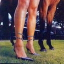 tierfreund98-blog avatar