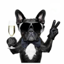 tierresmartdue avatar