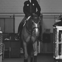 tiffany-foster-blog avatar