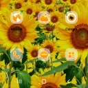 tiffanyann666 avatar