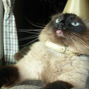 tiffanyevans29 avatar