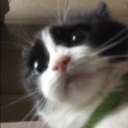 tiffanyforbreakfast avatar