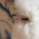 tiffyfoundsomestuff avatar