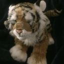 tiger-bug avatar