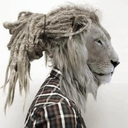 tigerdreads avatar