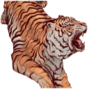 tigerop avatar