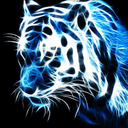tigerroseblue avatar