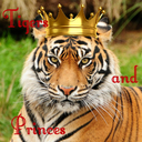 tigers-and-princes avatar