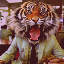tigersay avatar