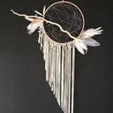 tigersinthesnow avatar