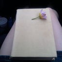 tigersmeow-isearninghermlis avatar