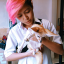 tigersnsharks avatar