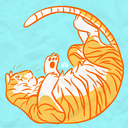 tigerterritory avatar