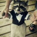 tightascaptainssuit avatar