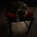 tighterthansyrupandwaffles avatar