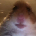 tiktaalik-hater avatar