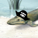 tiktaalikwastiktaataken avatar