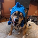 tiktoks-transcribed avatar