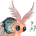 tilde-sockmoth avatar