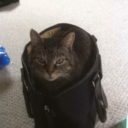 till-morning-sun avatar