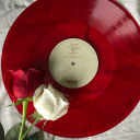 tilldeathcomes avatar