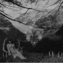 tilleroftheground avatar