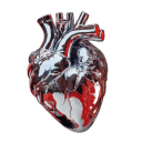 tillyjennifer avatar