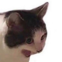 tillysmemearchive avatar