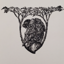 tiltedarcapologist avatar