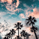 tiltedemotion avatar