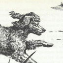 tilthedayhedies avatar