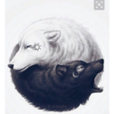 tiltheendofme avatar