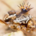 tim-jonas-tiny-worlds avatar