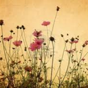 time-is-the-friend avatar