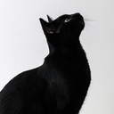 time-iswasting avatar