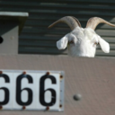 time-of-waste avatar