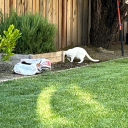 time-plus-night avatar