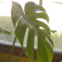 time-to-sleeeepzzz avatar