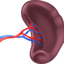 time-to-spleen avatar