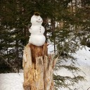 time-waits-for-snowman avatar