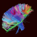 time-will-waste-you avatar