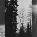 timedoesntheal avatar