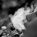 timefliees-blog avatar