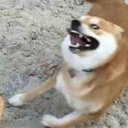 timefor-secondbreakfast-blog avatar