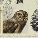 timeforknightautisming avatar