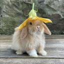 timeforsomehope avatar