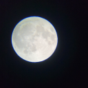 timeforthemoonnight96 avatar