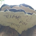 timefortrees avatar